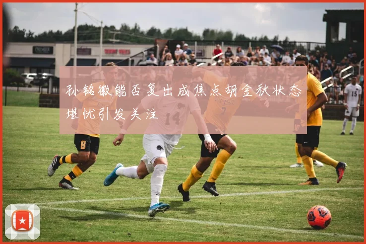 孙铭徽能否复出成焦点胡金秋状态堪忧引发关注